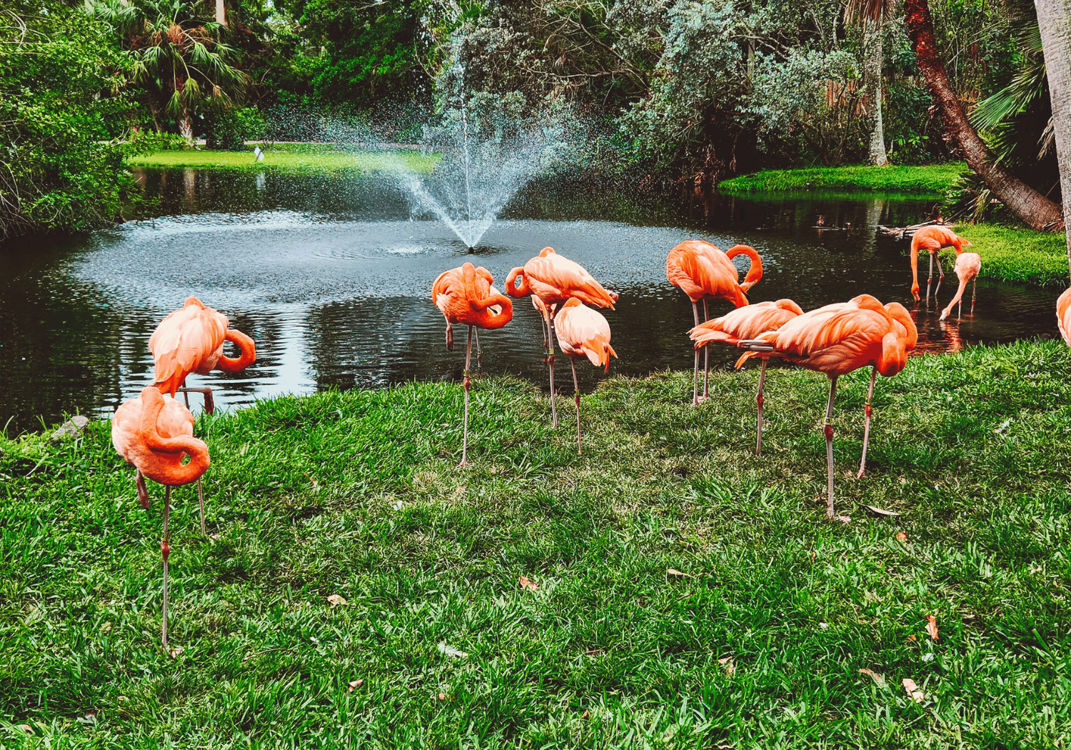 16 Best Things To Do In Sarasota With Kids - A Florida Traveler