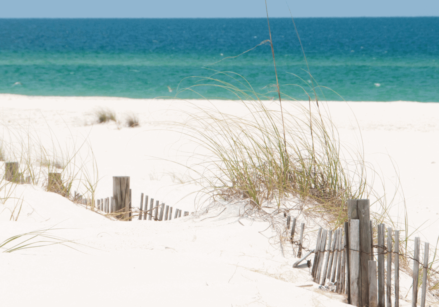 8 Least Crowded Beaches In Florida Panhandle A Florida Traveler