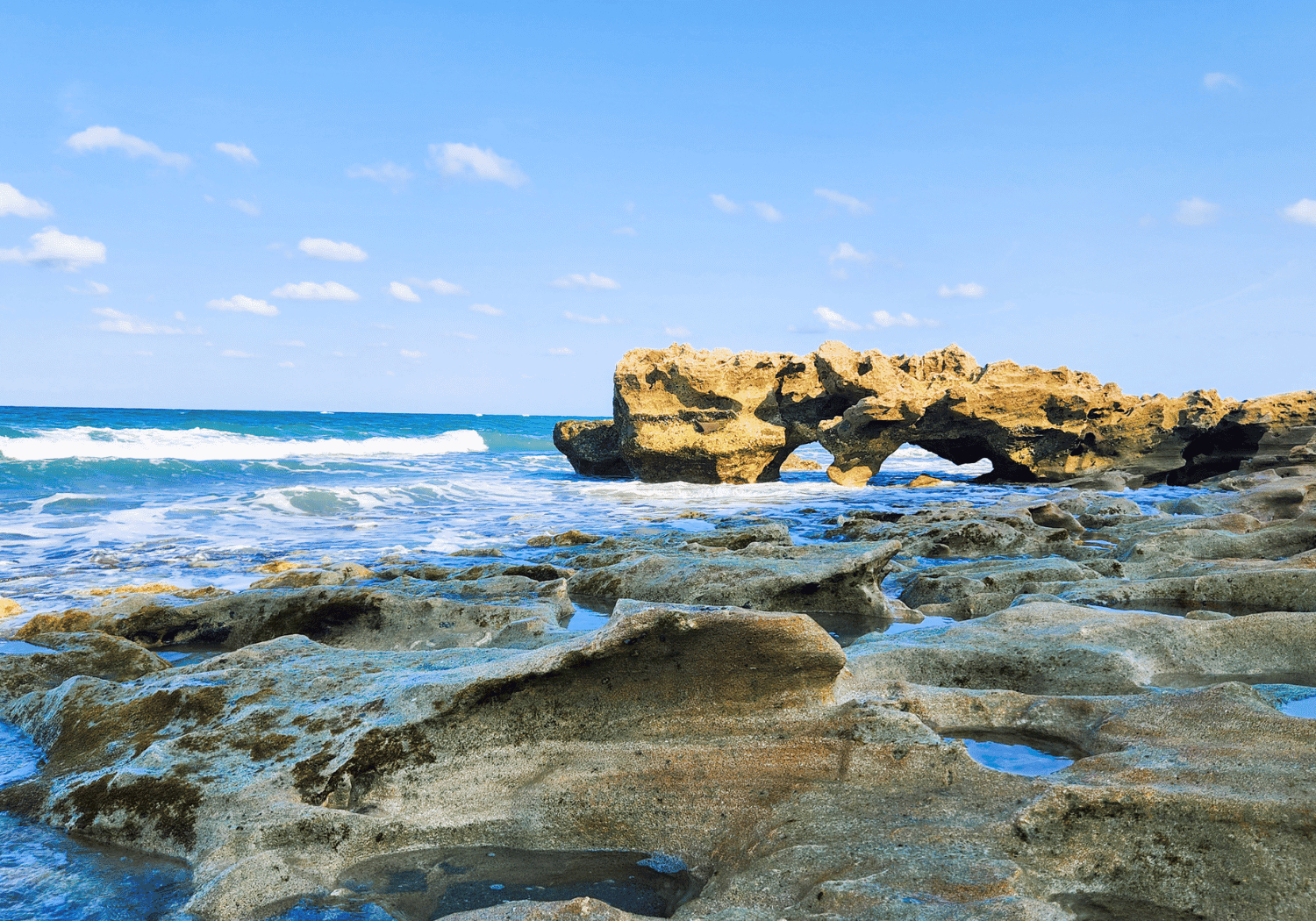 Blowing Rocks Preserve: Coolest Beach In Florida - A Florida Traveler