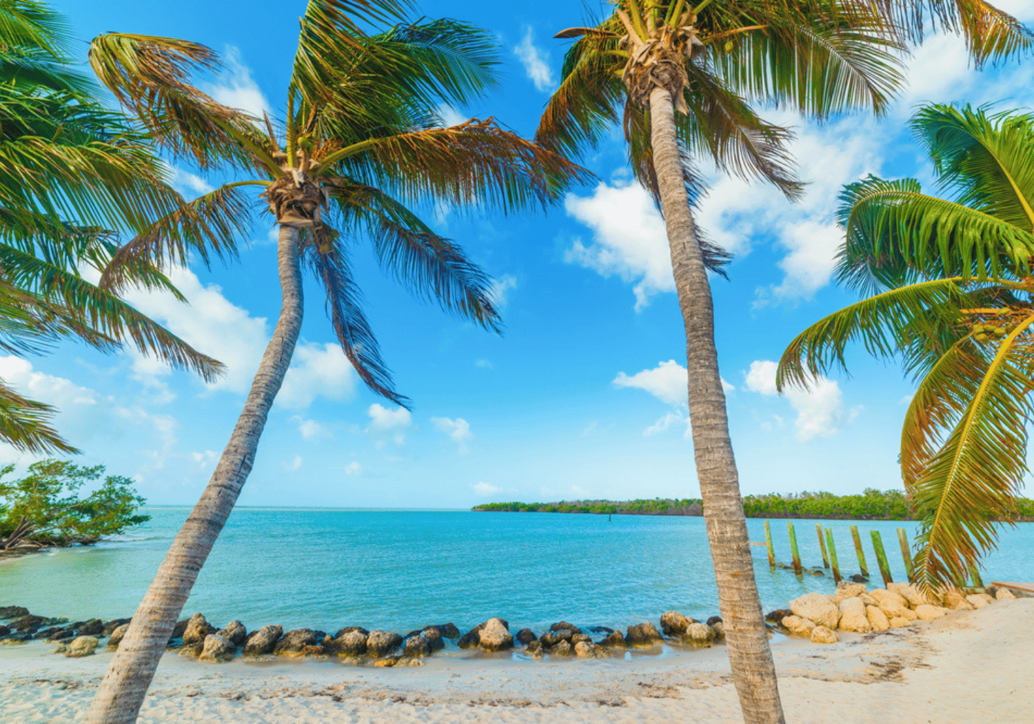 Florida. Local Ultimate Florida Keys Insider's Travel Guide: Local Tips + Maps - A ...